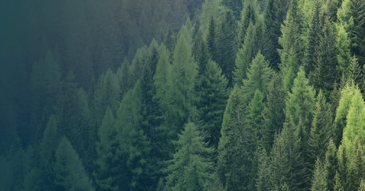 Renewable Energy Certificates for Businesses | SolarAfrica